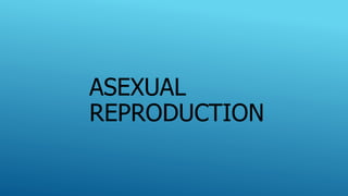 ASEXUAL
REPRODUCTION
 