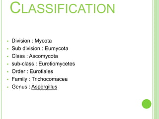 CLASSIFICATION
 Division : Mycota
 Sub division : Eumycota
 Class : Ascomycota
 sub-class : Eurotiomycetes
 Order : Eurotiales
 Family : Trichocomacea
 Genus : Aspergillus
 