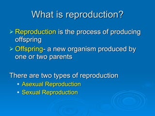 Asexual Reproduction | PPT