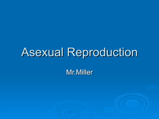 Asexual Reproduction Mr.Miller 