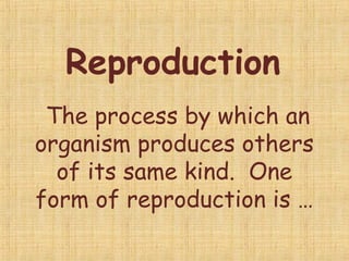 Reproduction
The process by which an
organism produces others
of its same kind. One
form of reproduction is …
 
