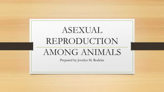 ASEXUAL
REPRODUCTION
AMONG ANIMALS
Prepared by Jovelyn M. Rodelas
 