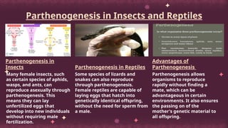 Parthenogenesis Insect asexual reproduction class 10th science .pptx