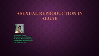 ASEXUAL REPRODUCTION IN
ALGAE
Dr. Sumia Zafar
Department of Botany
Dr. Rafiq Zakaria College
for Women, Aurangabad
Pin code -431001
 