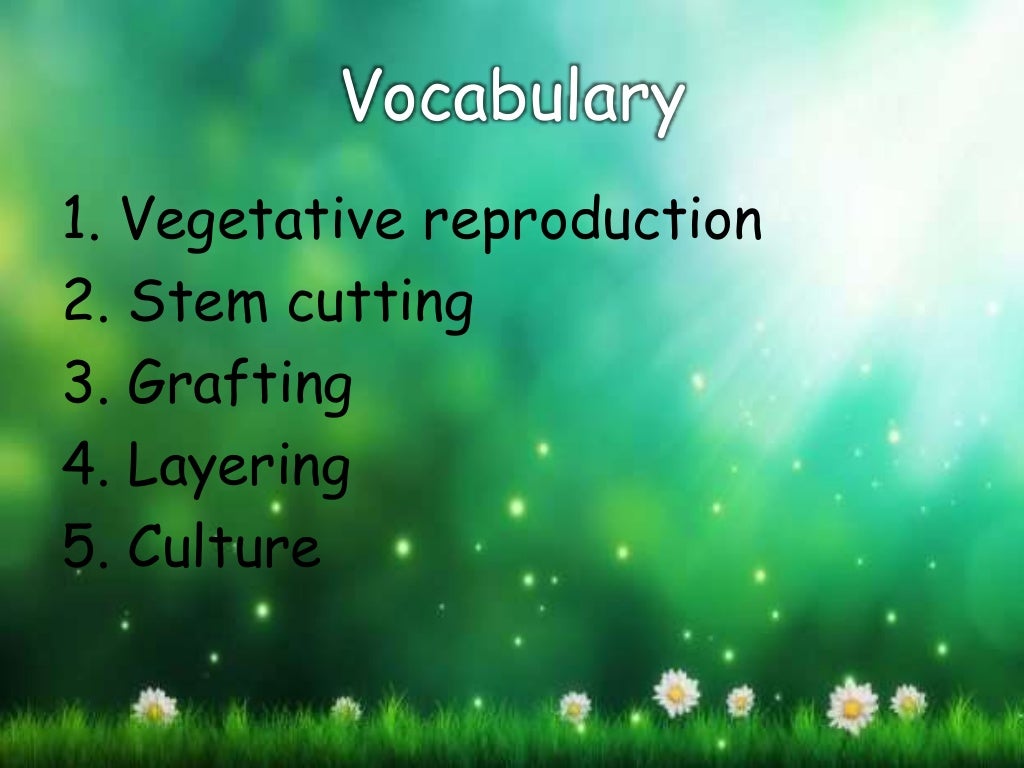Asexual reproduction in plants