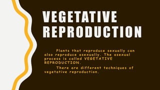 Asexual reproduction in plants | PPTX