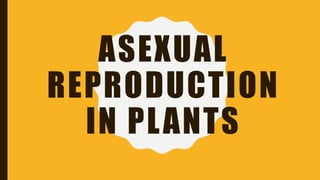 ASEXUAL
REPRODUCTION
IN PLANTS
 
