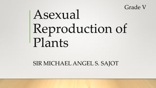 Asexual
Reproduction of
Plants
SIR MICHAEL ANGEL S. SAJOT
Grade V
 
