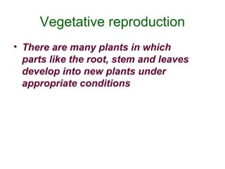 Asexual reproduction ppt | PPT