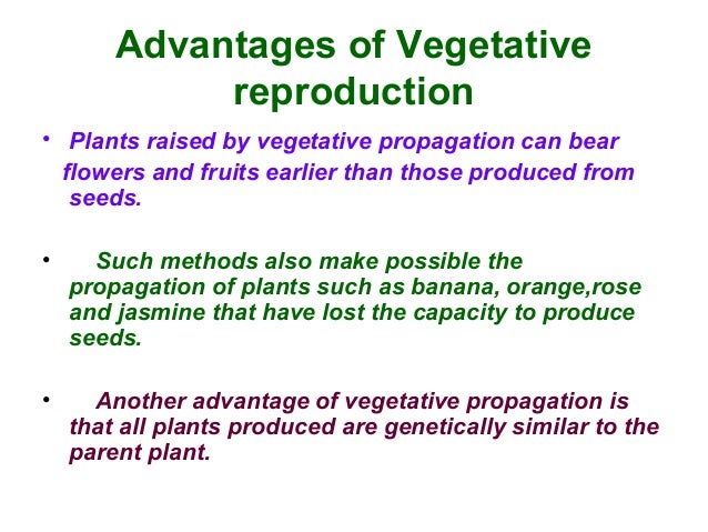 What are the advantages of asexual reproduction photo 654