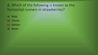 6. Which of the following is known as the
horizontal runners in strawberries?
a) Buds
b) Clones
c) Stolons
d) Roots
 
