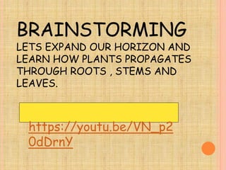 ASEXUAL REPRODUCTION PPT 1 for educational purposes | PDF