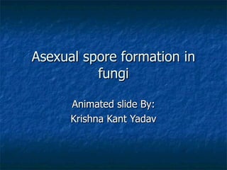 Asexual spore formation in fungi Animated slide By: Krishna Kant Yadav 