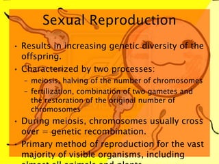 Sexual Reproduction Results in increasing genetic diversity of the offspring.  Characterized by two processes: meiosis, halving of the number of chromosomes fertilization, combination of two gametes and the restoration of the original number of chromosomes During meiosis, chromosomes usually cross over = genetic recombination. Primary method of reproduction for the vast majority of visible organisms, including almost all animals and plants.  