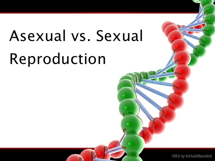 asexual reproduction vs sexual reproduction lab lessons tes teach