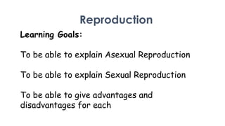 Reproduction
Learning Goals:

To be able to explain Asexual Reproduction
To be able to explain Sexual Reproduction
To be able to give advantages and
disadvantages for each

 