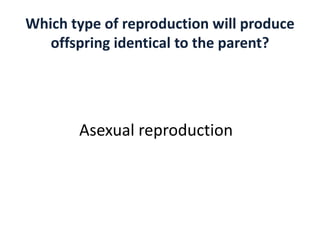 asexualvssexualreproduction-130412204720-phpapp02.pdf