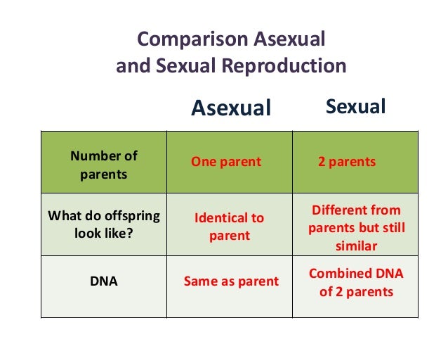 Types Of Sexual Reproduction