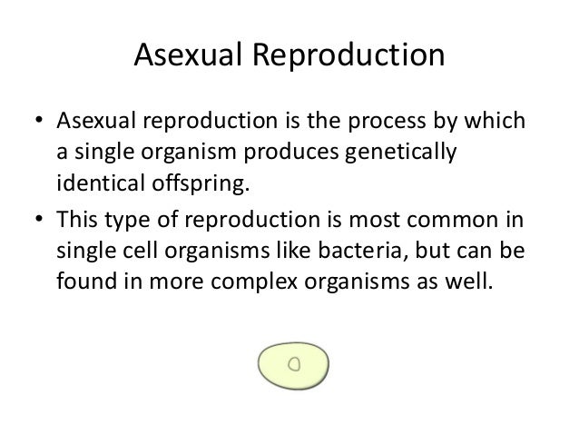 asexual reproduction and sexual reproduction venn diagram rome asexual reproduction and sexual reproduction venn diagram