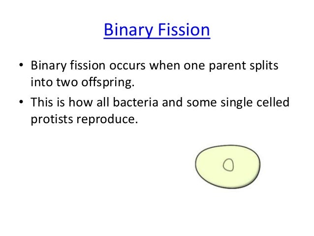 asexual vs sexual reproduction asexual reproduction and sexual reproduction venn diagram