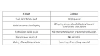 Asexual vs Sexual Reproduction.pptx
