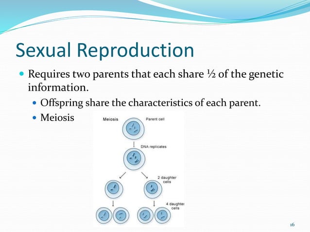 Asexual vs Sexual Reproduction PowerPoint.pptx Biology Diagrams