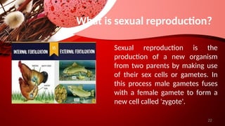 Sexual Reproduction Chat Form Asexual vs Sexual Reproduction PowerPoint.pptx