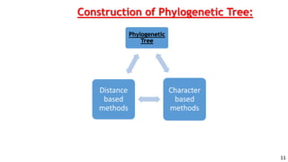 philogenetic tree | PPTX
