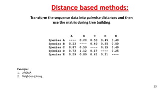 philogenetic tree | PPTX