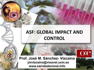 ASF: GLOBAL IMPACT AND
           CONTROL
                                ASF REFERENCE LABORATORY



Prof. José M. Sánchez- Vizcaíno
    jmvizcaino@visavet.ucm.es
     www.sanidadanimal.info
 