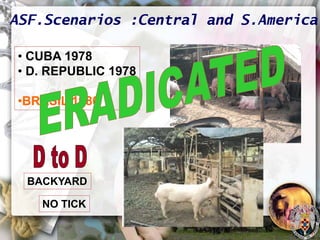 ASF global impact and control