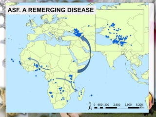 ASF global impact and control