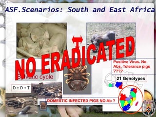 ASF global impact and control