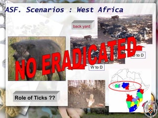 ASF global impact and control