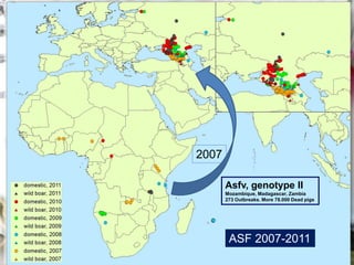 ASF global impact and control