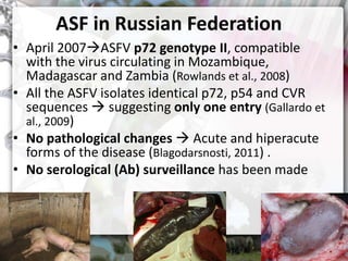 ASF global impact and control