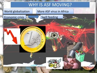 ASF global impact and control