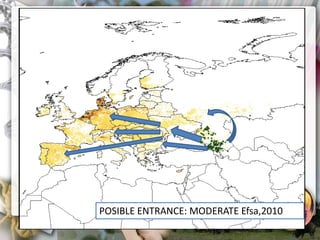 ASF global impact and control