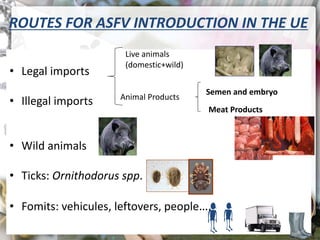 ASF global impact and control