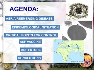 ASF global impact and control