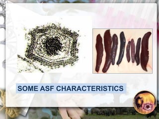 ASF global impact and control