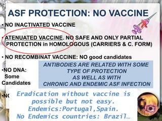 ASF global impact and control