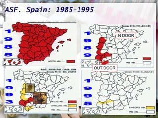 ASF global impact and control