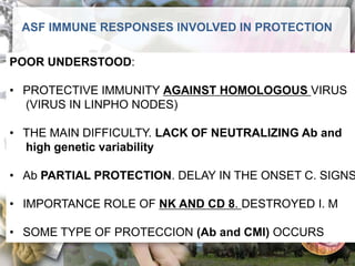 ASF global impact and control