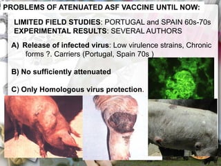 ASF global impact and control