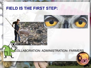 ASF global impact and control