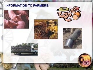 ASF global impact and control