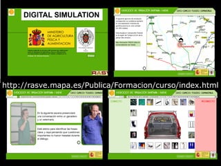 ASF global impact and control