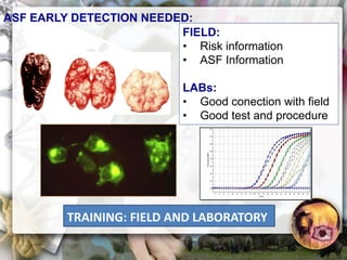 ASF global impact and control