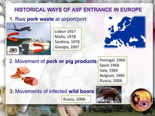 ASF global impact and control